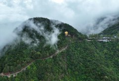 25年经营权争夺余波：观音山国家森林公园遭