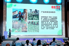 “彭婆婆榨菜”项目在重庆市级创业创新大赛