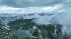  东莞市相关部门弄虚作假，违法违规发放相