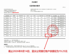 上海蓝城置业有限公司：投19.25元如何撬动